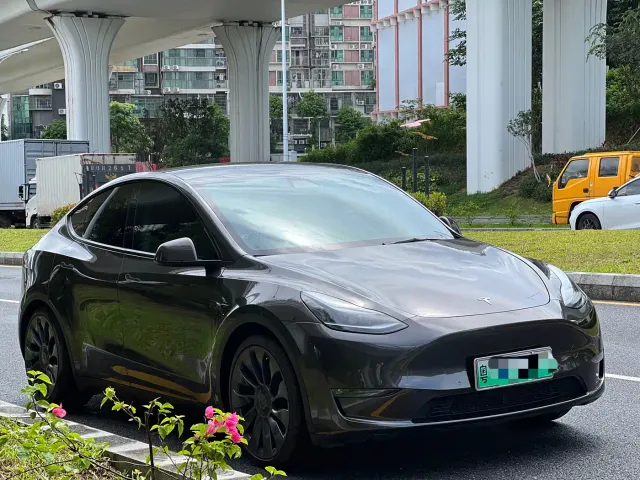 Tesla Model Y — Фото автомобиля 3