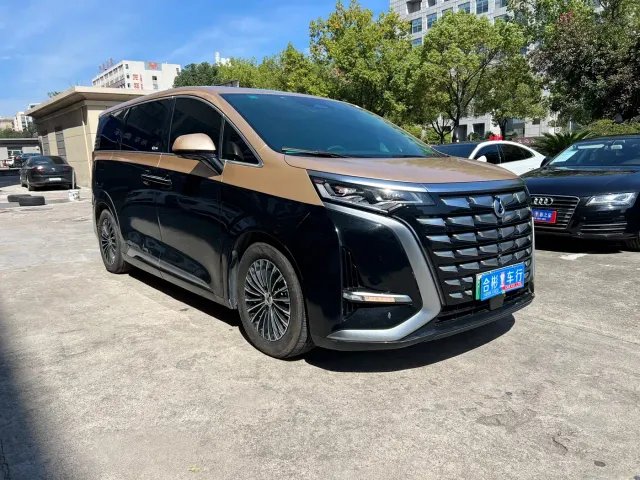 Denza D9 — Фото автомобиля 9