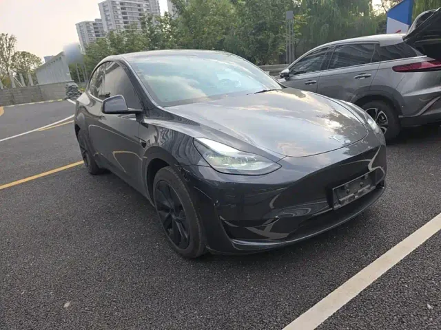 Tesla Model Y — Фото автомобиля 3