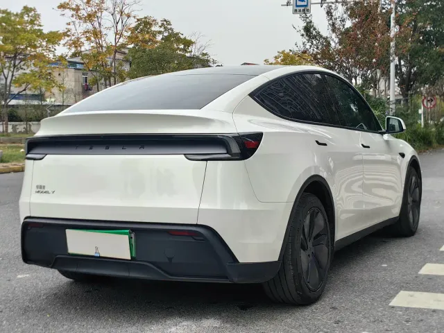 Tesla Model Y — Фото автомобиля 13