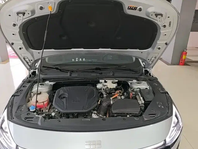 Geely Galaxy L6 — Фото автомобиля 19
