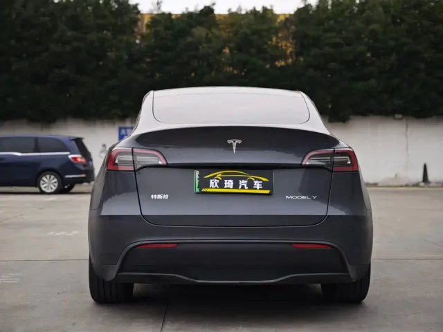 Tesla Model Y — Фото автомобиля 5