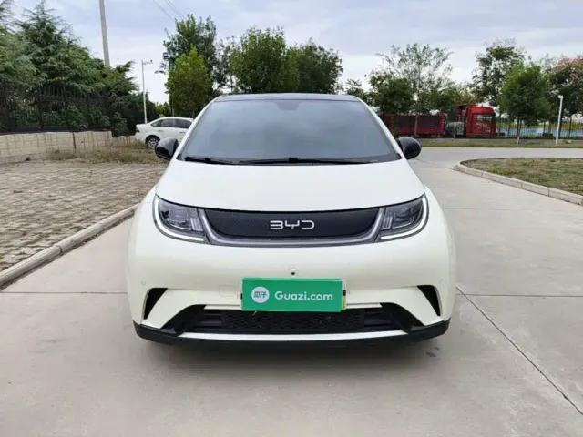 BYD Dolphin — Фото автомобиля 2