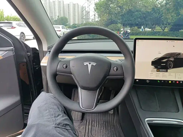 Tesla Model Y — Фото автомобиля 10