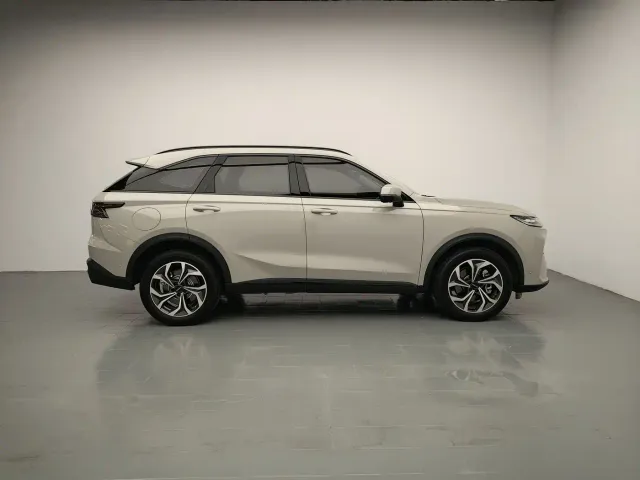 Haval Xiaolong MAX — Фото автомобиля 8