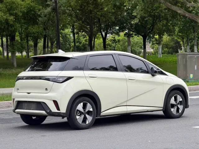 BYD Dolphin — Фото автомобиля 8