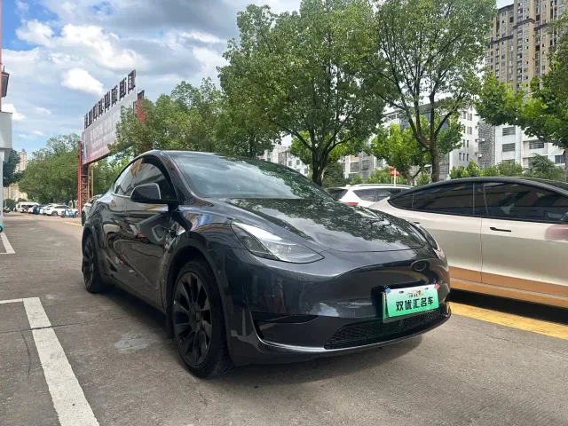 Tesla Model Y — Фото автомобиля 3