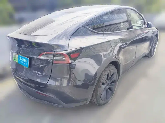 Tesla Model Y — Фото автомобиля 2