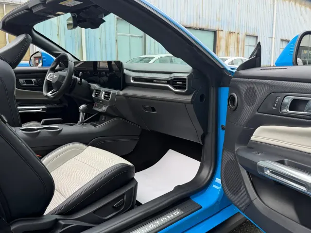 Ford Mustang — Фото автомобиля 12