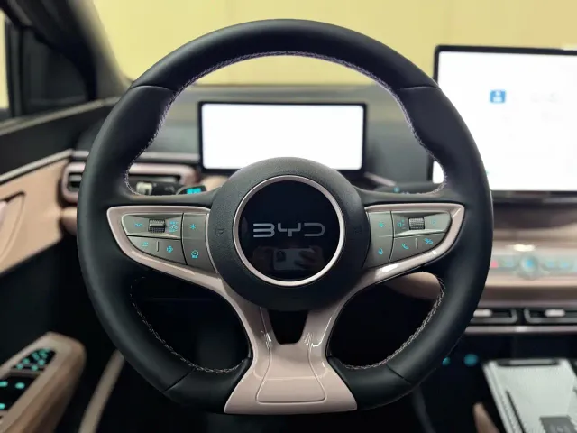 BYD Seagull — Фото автомобиля 15