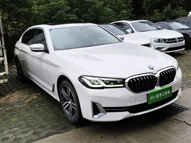 BMW 5 Series — Фото автомобиля 21