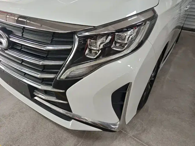 GAC Trumpchi M8 — Фото автомобиля 23