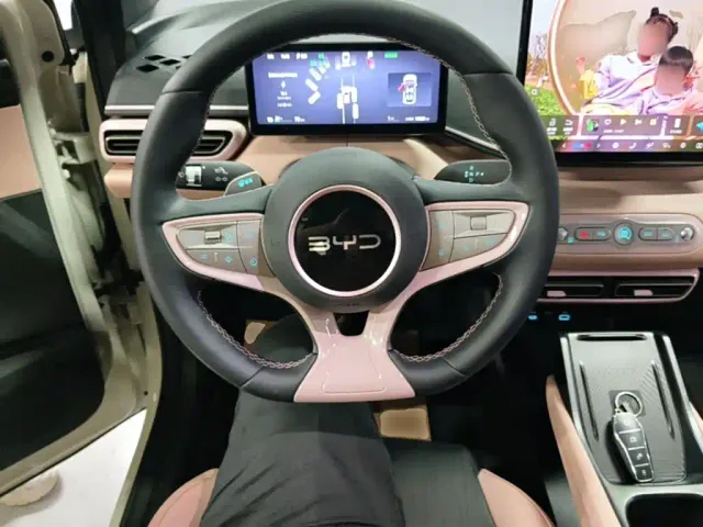 BYD Seagull — Фото автомобиля 10