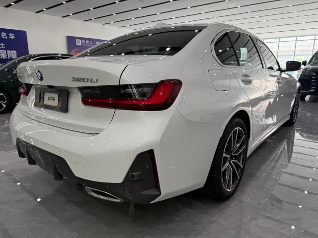 BMW BMW 3 Series 2023 320Li M Sport Package — Фото автомобиля 6