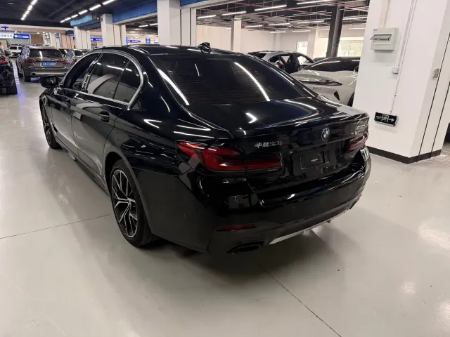 BMW BMW 5 Series 2023 530Li Premium M Sport Package — Фото автомобиля 6