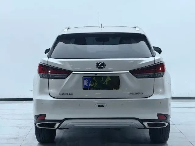 Lexus RX — Фото автомобиля 19