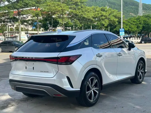 Lexus RX — Фото автомобиля 7