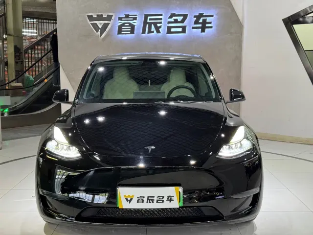 Tesla Model Y — Фото автомобиля 2