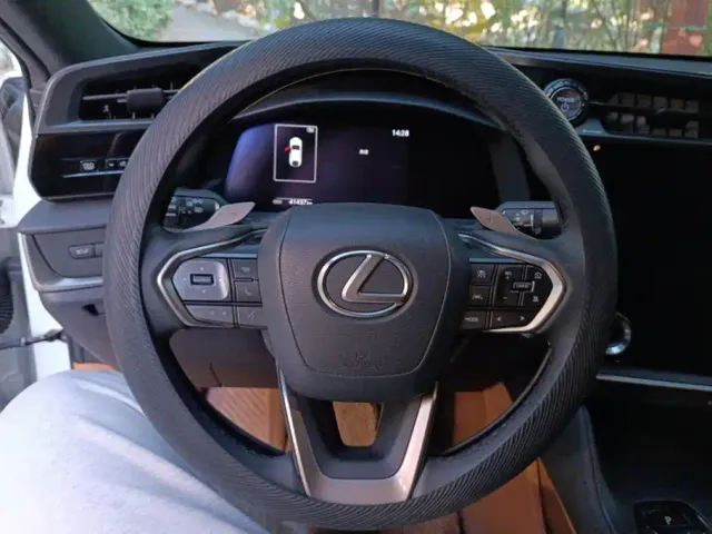 Lexus RZ — Фото автомобиля 15