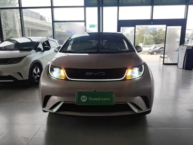 BYD Dolphin — Фото автомобиля 2