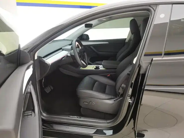 Tesla Model Y — Фото автомобиля 9