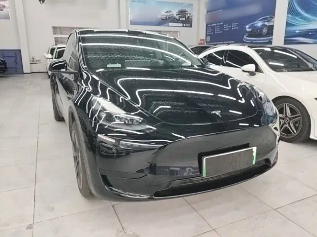 Tesla Model Y — Фото автомобиля 3