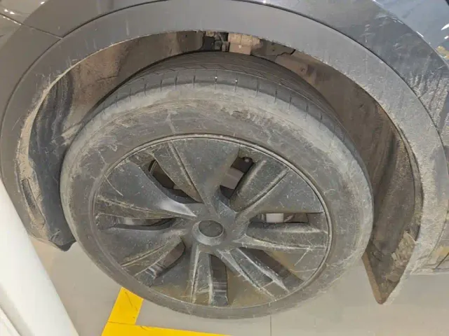 Tesla Model Y — Фото автомобиля 22