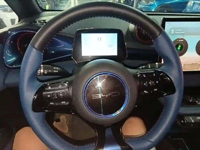 BYD Dolphin — Фото автомобиля 10