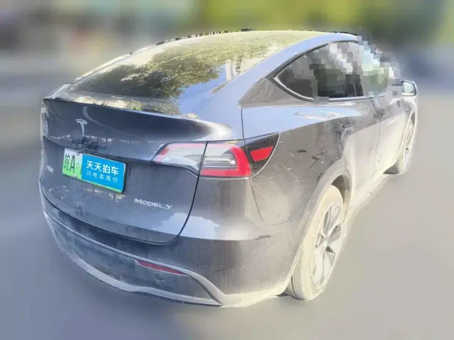 Tesla Model Y — Фото автомобиля 2