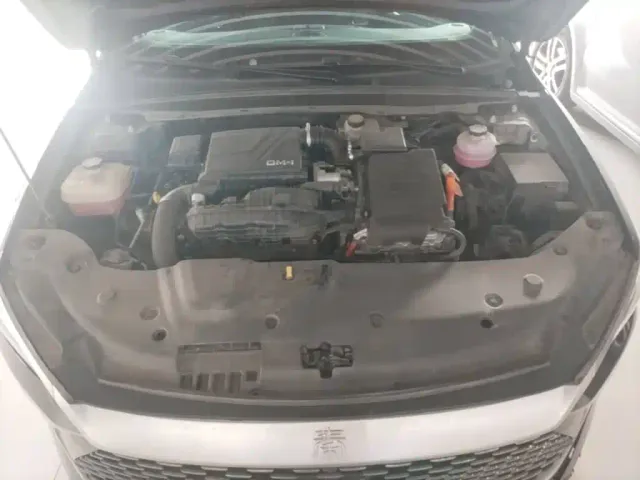 BYD Qin PLUS — Фото автомобиля 19