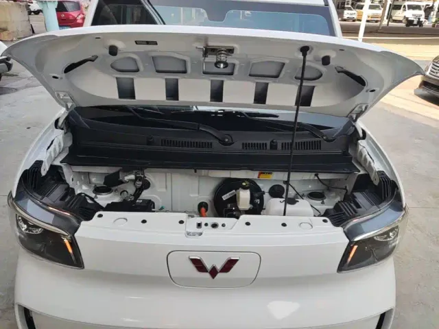 Wuling Zhiguang NEV — Фото автомобиля 19