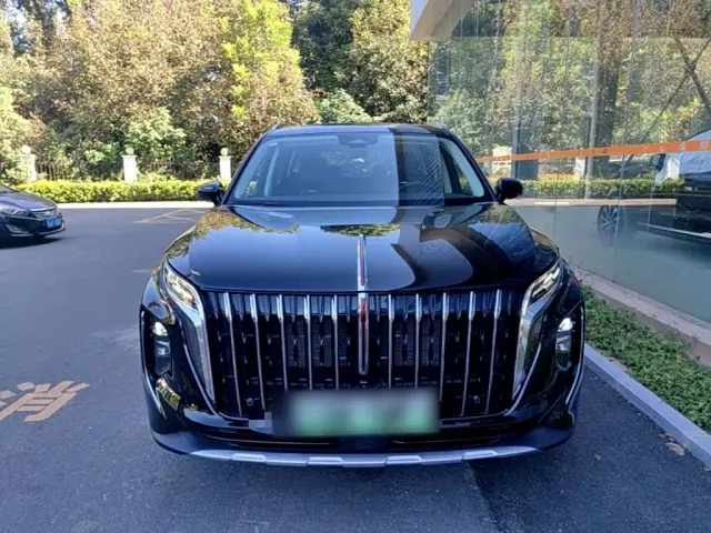 Hongqi HS7 PHEV — Фото автомобиля 2