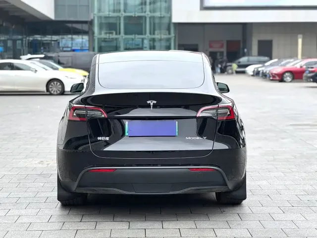 Tesla Model Y — Фото автомобиля 8