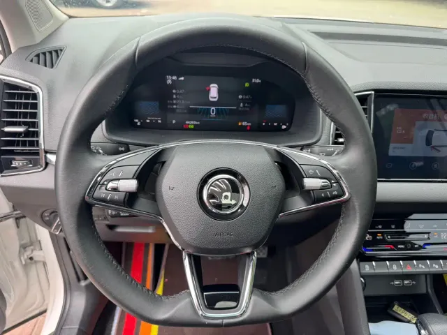 Skoda Karoq — Фото автомобиля 18