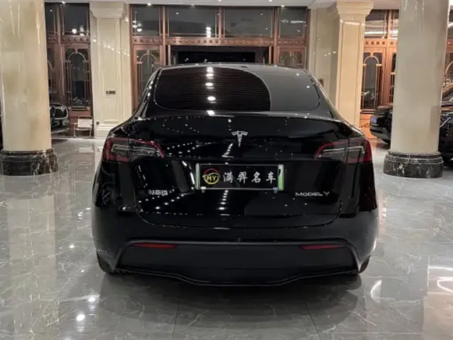 Tesla Model Y — Фото автомобиля 10