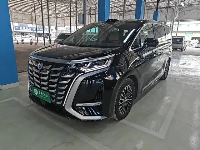 Фотография автомобиля — Denza D9