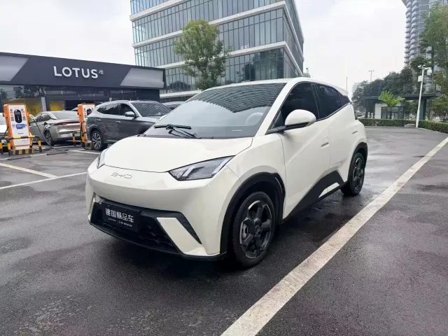 Фотография автомобиля — BYD Seagull