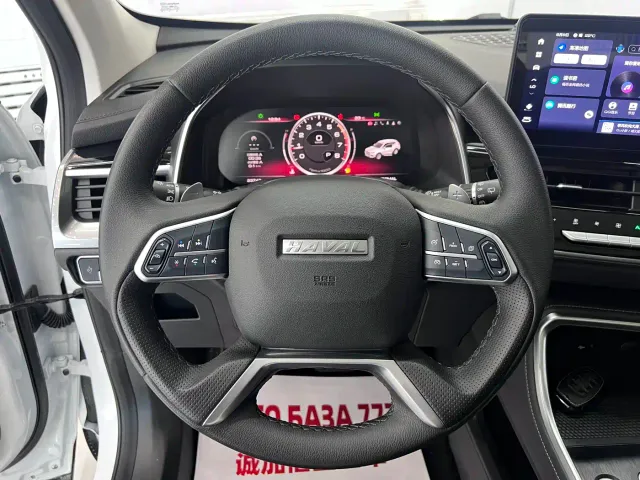 Haval H6 — Фото автомобиля 11
