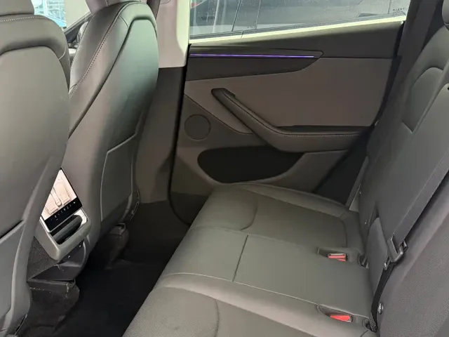 Tesla Model Y — Фото автомобиля 7