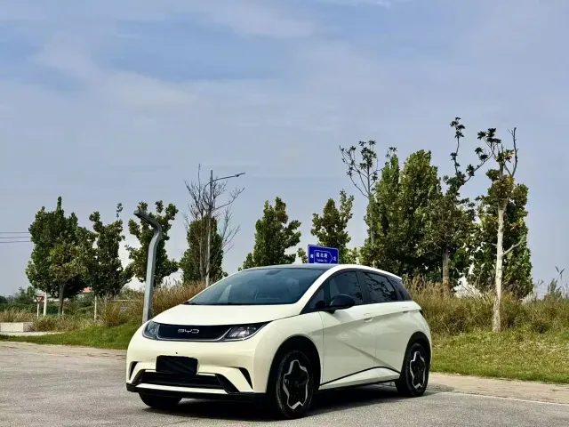 Фотография автомобиля — BYD Dolphin