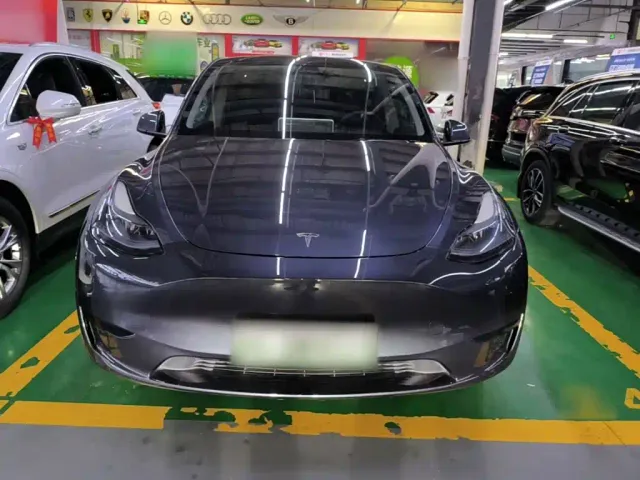 Tesla Model Y — Фото автомобиля 2
