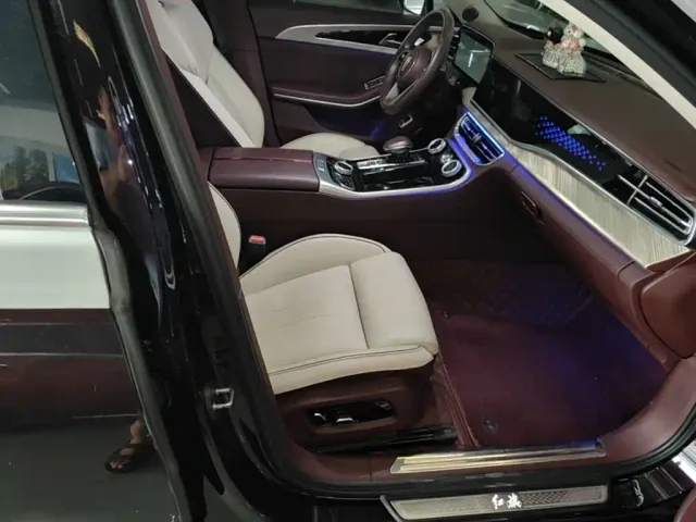 Hongqi H9 — Фото автомобиля 24