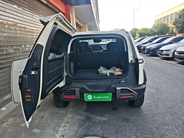 BYD FangChengBao Titanium 3 — Фото автомобиля 18