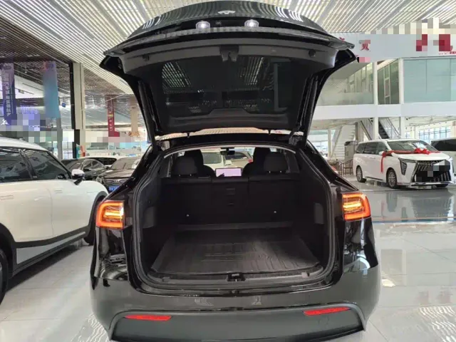 Tesla Model Y — Фото автомобиля 18