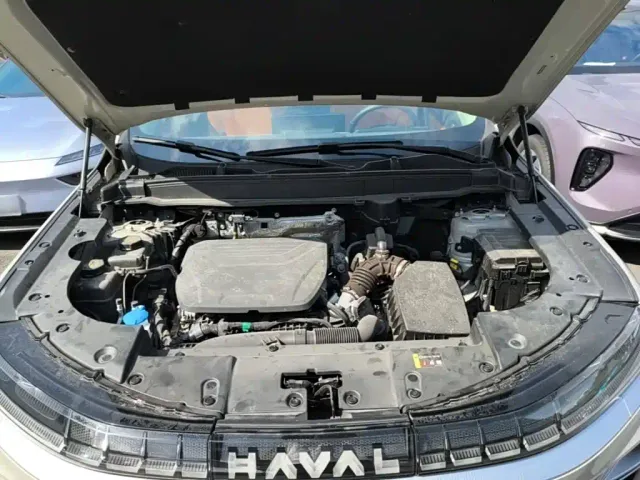 Haval Xiaolong MAX — Фото автомобиля 19
