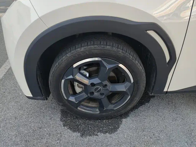 BYD Seagull — Фото автомобиля 22