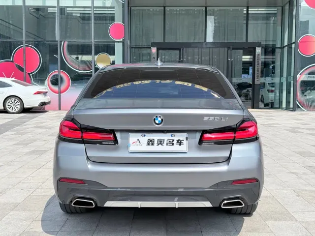 BMW 5 Series — Фото автомобиля 6