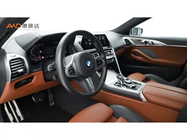 BMW 8 Series — Фото автомобиля 6