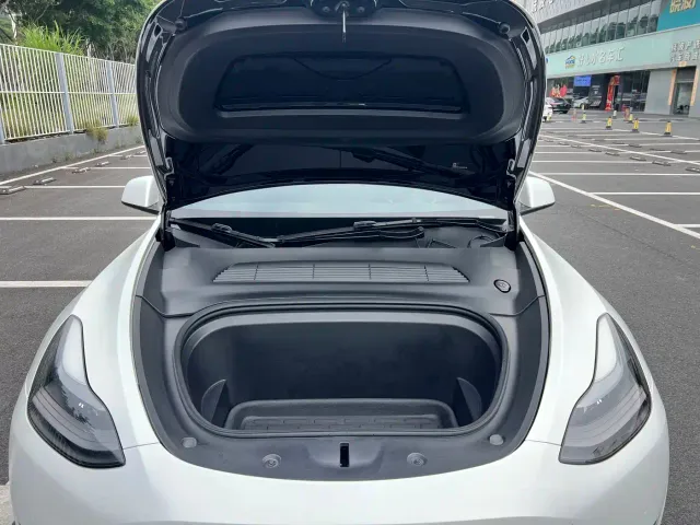 Tesla Model Y 2021 Standard Range Rear-Wheel Drive — Фото автомобиля 21