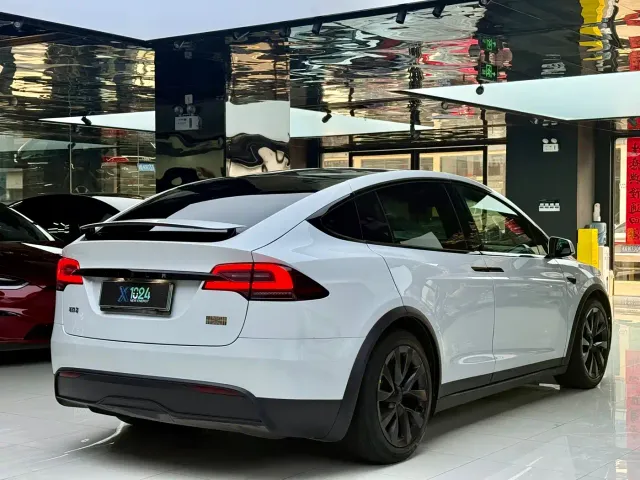 Tesla Model X — Фото автомобиля 15